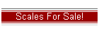 Scales For Sale!
